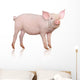 Pig Wall Decal