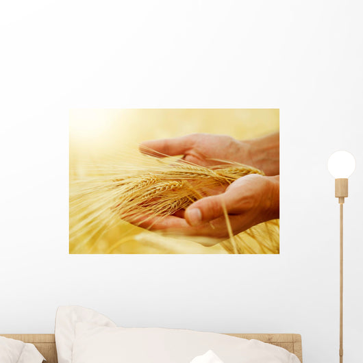 Wheat.Harvest concept Wall Mural