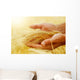 Wheat.Harvest concept Wall Mural
