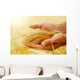Wheat.Harvest concept Wall Mural
