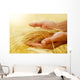 Wheat.Harvest concept Wall Mural