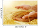 Wheat.Harvest concept Wall Mural