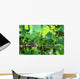 Vineyard Wall Mural