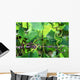 Vineyard Wall Mural