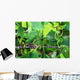 Vineyard Wall Mural