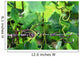 Vineyard Wall Mural
