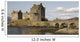 eillan donan castle Wall Mural