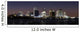 New Orleans Skyline at Night Wall Mural