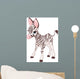 Cute Zebra Foal