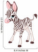 Cute Zebra Foal