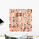 Smile Collage Dental Wall Mural