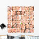 Smile Collage Dental Wall Mural