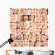 Smile Collage Dental Wall Mural
