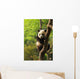 Cute Panda Cub Wall Mural