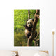 Cute Panda Cub Wall Mural