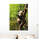 Cute Panda Cub Wall Mural