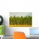 Cornfield Wall Mural