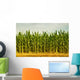 Cornfield Wall Mural