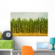 Cornfield Wall Mural