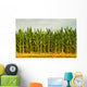 Cornfield Wall Mural
