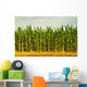 Cornfield Wall Mural