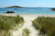 Path to Rushy Bay Wall Decal