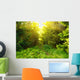 Green forest with sun ray Wall Mural