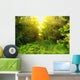 Green forest with sun ray Wall Mural