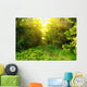 Green forest with sun ray Wall Mural
