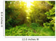 Green forest with sun ray Wall Mural