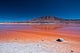 Reflection at Laguna Colorada in the Bolivian Desert Wall Mural