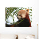 Tte Panda