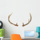 Rear View of Whitetail Deer Antlers Wall Decal