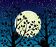 Full Moon Midnight in CMYK Colours Wall Mural