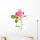 Flower Decals - Pink rose Wall Decal