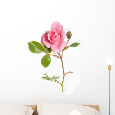Pink Rose Wall Decal shown on a wall