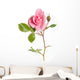 Flower Decals - Pink rose Wall Decal
