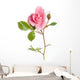 Flower Decals - Pink rose Wall Decal