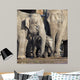 Protecting Baby Wall Mural