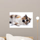 Cat White Wall Mural