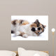 Cat White Wall Mural