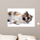 Cat White Wall Mural