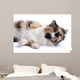 Cat White Wall Mural