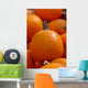 Pumpkins Wall Mural