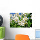 Jasmin - jasmine 35 Wall Mural