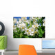 Jasmin - jasmine 35 Wall Mural