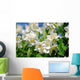 Jasmin - jasmine 35 Wall Mural