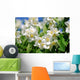 Jasmin - jasmine 35 Wall Mural