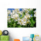 Jasmin - jasmine 35 Wall Mural