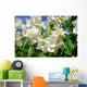 Jasmin - jasmine 35 Wall Mural